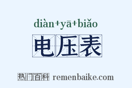 电压表是什么意思的图片